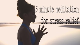 5 Minute Guided Meditation for Stress Relief [upl. by Etteuqal]