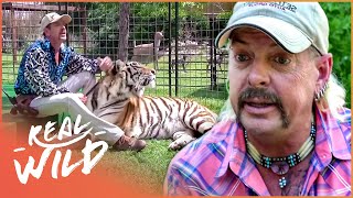 Joe Exotic The Story Of The Tiger King  Predator Pets  Real Wild [upl. by Gariepy]