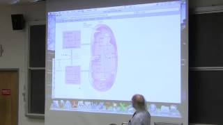 31 Biochemistry Lecture LipidFat Metabolism I from Kevin Aherns BB 350 [upl. by Tessil]