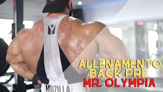 Andrea Muzi ALLENAMENTO BACK PRE MR OLYMPIA [upl. by Anazraf]