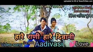 हारै राणी हारै दिवानी  Audio Harai Rani harai divani singer Anil kuvr new song ss 860 2024 [upl. by Melessa]