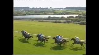 2002 King George VI and Queen Elizabeth Diamond Stakes [upl. by Ethbun]