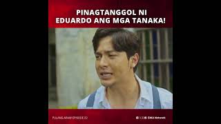 Pulang Araw Pinagtanggol ang mga Tanaka  Episode 22 [upl. by Nissy]