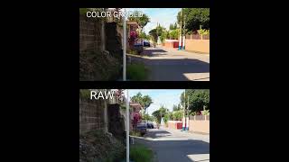 DJI pocket 2  comparison RAW vs COLOR GRADED [upl. by Moule612]