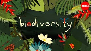 Why is biodiversity so important  Kim Preshoff [upl. by Anilet]