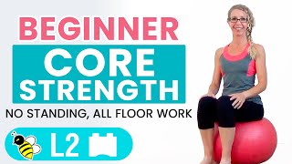 BEGINNER CORE  15 Minute STABILITY BALL Workout for BEGINNERS [upl. by Templeton]