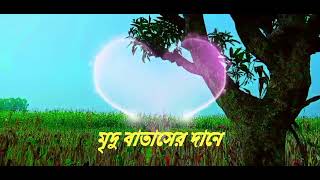 মৃদু বাতাসের দানে গাজ গুলো কেমন শান্ত হয়ে আছে [upl. by Valaria]