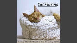 Soothing Sleeping Cat Purr with White Noise [upl. by Nanek]