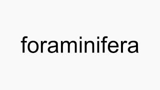 How to pronounce foraminifera [upl. by William]