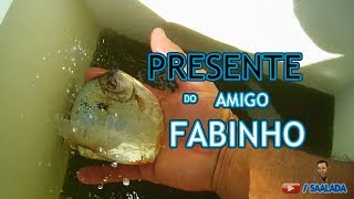 PRESENTE DO AMIGO FABINHO [upl. by Donnie]