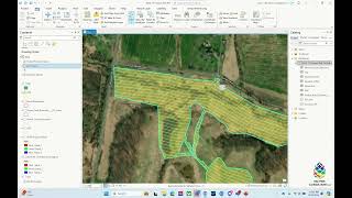 Create STPs Along Transects for Phase I Archaeology Using ArcGIS Pro [upl. by Adnylem337]