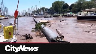 Cleanup starts after dock with boats drifts down Oakville waterway [upl. by Anelac]