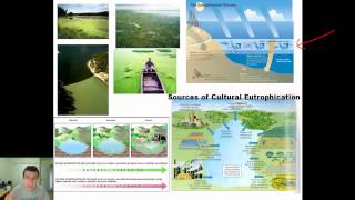 Population Dynamics Nutrient Limitation vs Excess Eutrophication amp Algae Bloom [upl. by Gable]