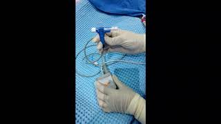 Transpulmonary thermodilution demonstration on PICCO device [upl. by Elacsap]