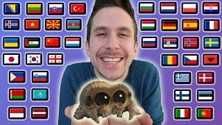 How To Say quotLUCAS THE SPIDERquot In 42 Different Languages [upl. by Hahnke]