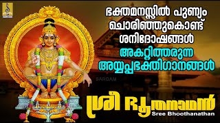 ശ്രീ ഭൂതനാഥൻ  Sree Bhoothanathan  Ayyappa Devotional Songs  Hindu Devotional Songs ayyappa [upl. by Pedro]