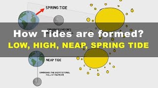 How Tides are Formed  Low High Neap Spring Tide  Geography UPSC IAS [upl. by Pasco]