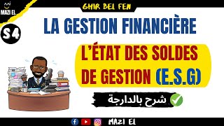 Analyse financière  létat des soldes de gestion ESG [upl. by Lovmilla]