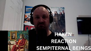 Haken REACTION Sempiternal Beings quotTalking New Metal Musicquot [upl. by Atsocal]