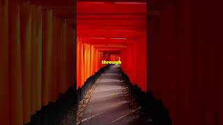 Fushimi Inari Shrine in Kyoto Japan  MUST SEE japan travel kyoto [upl. by Hawkins915]