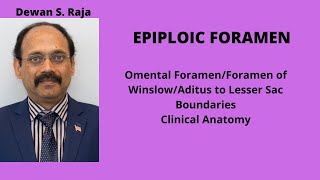 EPIPLOIC FORAMEN [upl. by Mendive]