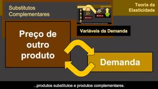 Teoria da Elasticidade ECONOMIA 27 [upl. by Aikahs444]