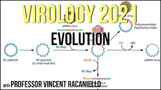 Virology Lectures 2021 21  Evolution [upl. by Vivyanne]