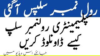 BISE Lahore Announced 2nd year roll number slips 2024 12th roll number kaise nikale 2024 [upl. by Donn]