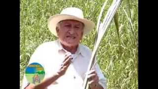 Programa Agropecuario Abriendo Campo  TV Agro  Productora Giiaacom [upl. by Drahser]