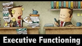 MIND MATTERS Executive Functioning [upl. by Ahsielat765]