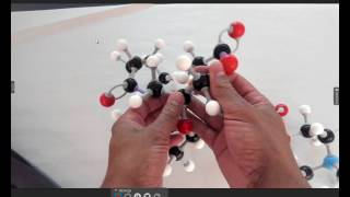 Phospholipid Structure using models [upl. by Koziel]