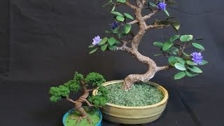 Make a Bonsai Tree out of Wire [upl. by Farrish]