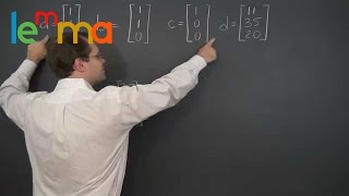 Linear Algebra 6z Outtakes from Chapters 5 and 6 [upl. by Ahsekyw40]