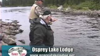 Outdoor Dreams  Osprey Lake Lodge [upl. by Latoye]