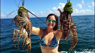 Lobster Diving Fort Lauderdale Florida Catch And Cook [upl. by Edgerton719]