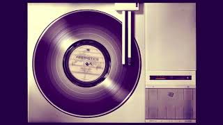 The Pointer Sisters  Im So Excited Slowed down Vinyl Record HQ [upl. by Harlin171]