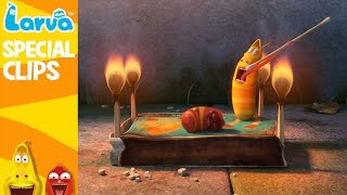 Official LARVA Weekly Best  Funny Animation Compilation  Week 4 NOV 2016 [upl. by Aikemat]