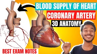 Coronary artery anatomy  Artery supply of heart anatomy  Blood supply of heart anatomy in hindi [upl. by Jere]