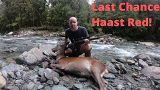 Red Deer Hunt Haast New Zealand [upl. by Jamesy]