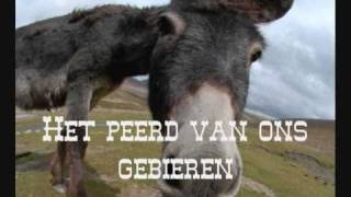 eir peerd  de fleksies [upl. by Glennie]