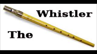 Humouresque Dvorak  Tin Whistle Cover [upl. by Wyatan]