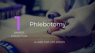 Phlebotomy [upl. by Ocirema]