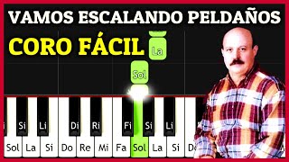 VAMOS ESCALANDO PELDAÑOS Piano Tutorial Fácil  Stanislao Marino  ACORDES de CORITOS CRISTIANOS [upl. by Gorrian]