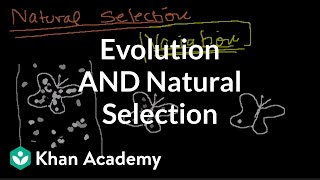 Introduction to Evolution and Natural Selection [upl. by Skricki214]