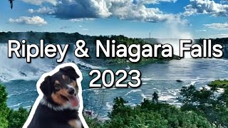 😍 Fun Trip to Niagara Falls travel niagarafalls pets ripleysride AdventureswithChristine [upl. by Knoll]