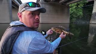 Post Spawn Smallies on Topwater [upl. by Holland]