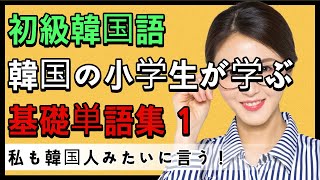 韓国語初級  基礎単語で韓国語実力向上  休みの時、聞くだけで韓国語マスター  韓国語初心者のための必須学習単語 [upl. by Nodnyl109]