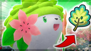 DOES SHAYMIN JUST SWEEP WITH THIS SET  SDA Week 7  WiFi Draft League Battle [upl. by Ivon]