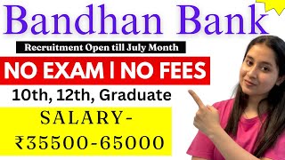 Bandhan Bank Recruitment 2024 🔥 12th pass job vacancy 2024 🔥 Jobs for Students Online at Home [upl. by Acnaiv]