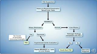 Primary Sclerosing Cholangitis AASLD Guidelines [upl. by Omsoc]